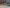 Pederskervejen 10 - Pederskervejen 10, Bodilsker